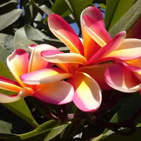 Downtown Climate Controlled * 马拉加